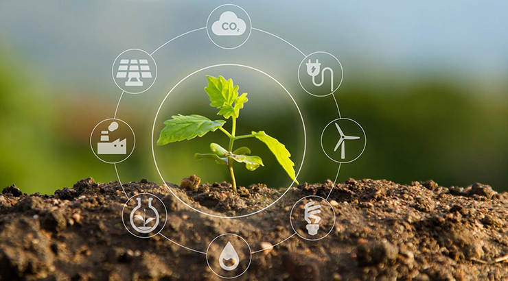 Sustentabilidade: Uma Agenda Inadiável